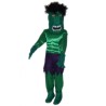 Disfraz de Hombre Verde