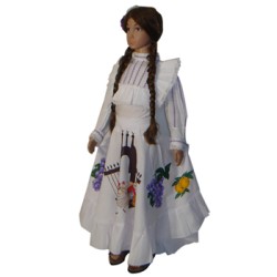 Falda de Aguascalientes