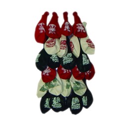 Paquete de globos tricolor 25pzas