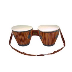 Bongo